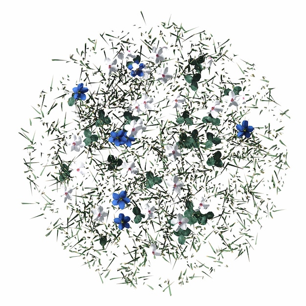 herbe de champ sauvage, vue de dessus, isolée sur fond blanc, illustration 3D, rendu cg