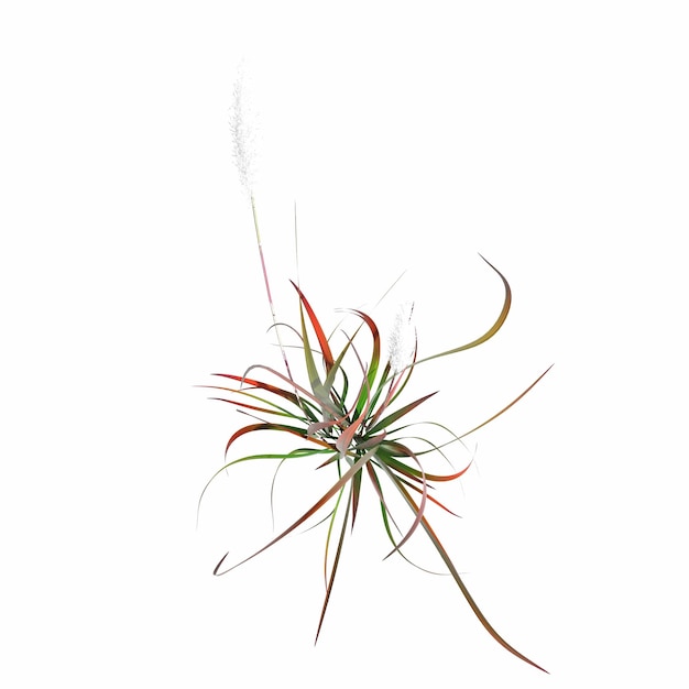 herbe de champ sauvage, vue de dessus, isolée sur fond blanc, illustration 3D, rendu cg