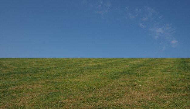 Herbe et ciel