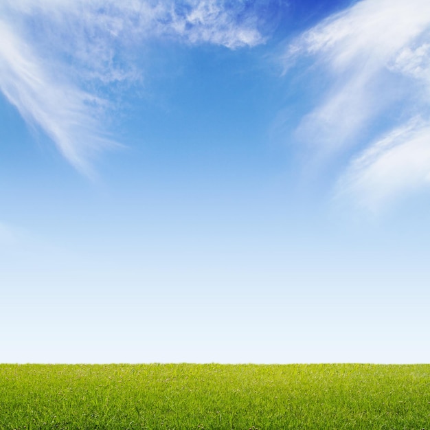 l'herbe et le ciel
