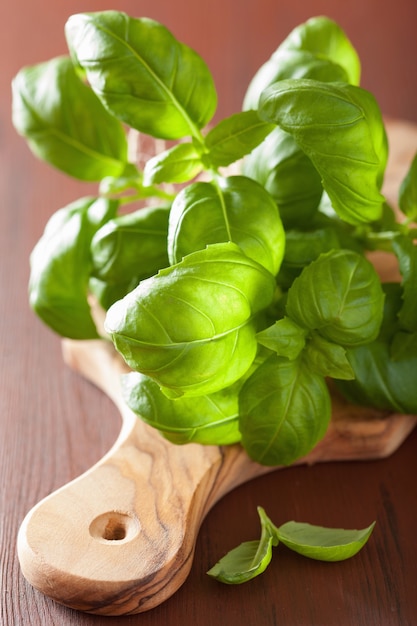 Herbe de feuilles de basilic frais sur fond de bois