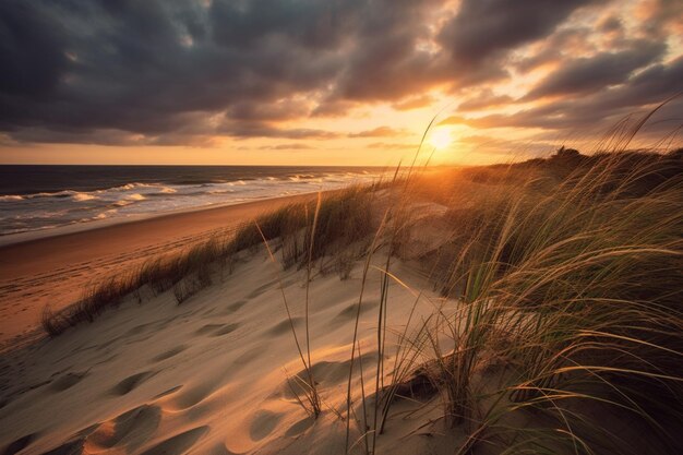 Photo l'herbe herbeuse sur le sable d'une plage au coucher du soleil