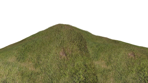 Herbe isolée sur fond blanc illustration de rendu 3d