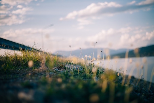 Photo herbe et nuage