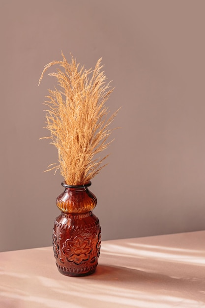 Herbe de pampa séchée naturelle dans un vase marron