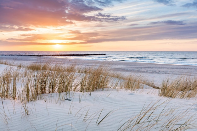 Photo herbe de plage sur les dunes de la mer baltique au coucher du soleil paysage calme