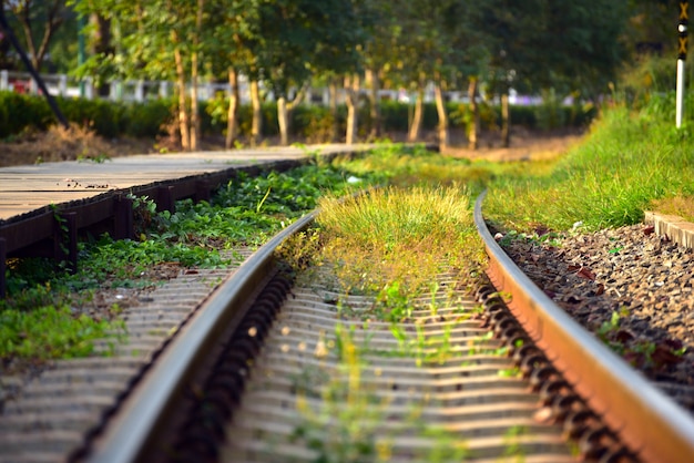 Photo l'herbe pousse le long du chemin de fer alors qu'il n'y a pas de train à la lumière du soir