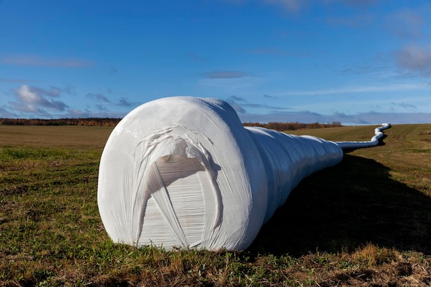 Herbe récoltée pour l'élevage