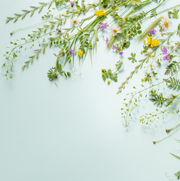 Herbe sauvage et fleurs sur fond de papier vert