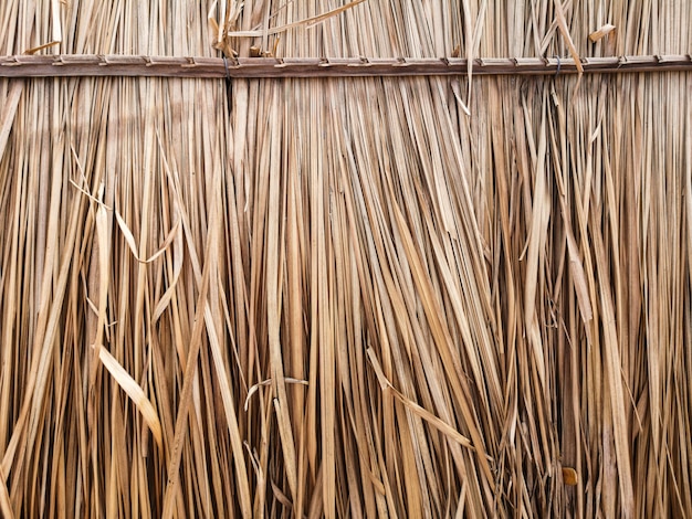 Herbe sèche pour faire le toit de la cabane.