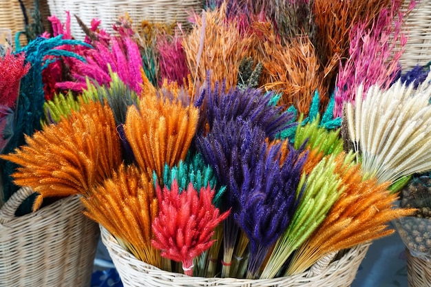 Photo herbe séchée colorée