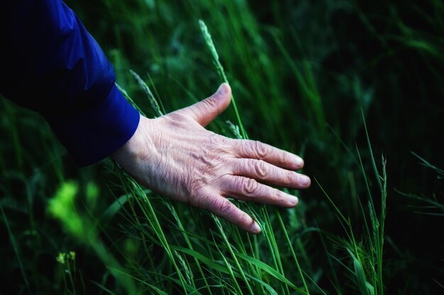 Photo l'herbe taillée touchée à la main