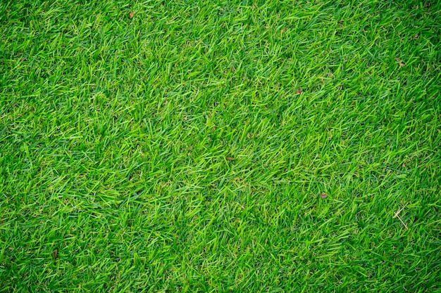 Herbe verte artificielle