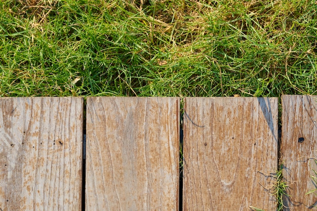 Herbe verte et bois