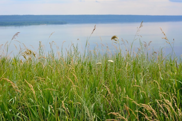 herbe verte sur le bord de la colline avec la Volga en arrière-plan par temps nuageux