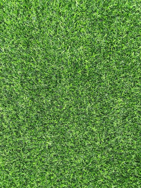 Herbe verte comme la texture