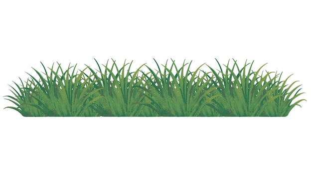 L'herbe verte est bordée d'un autocollant png à fond transparent