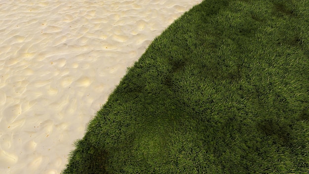 Herbe verte sur fond de plage de sable rendu 3D