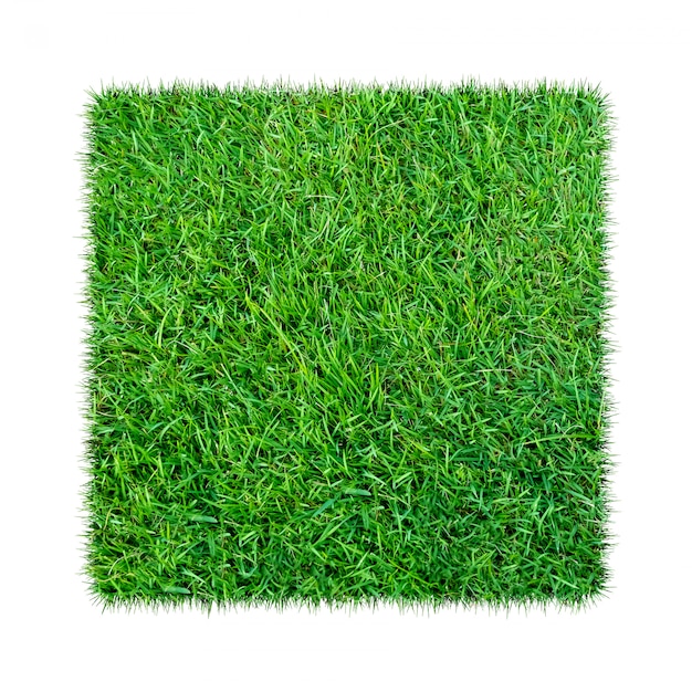 L&#39;herbe verte. Fond de texture naturelle. Herbe verte printanière. isolé sur fond blanc