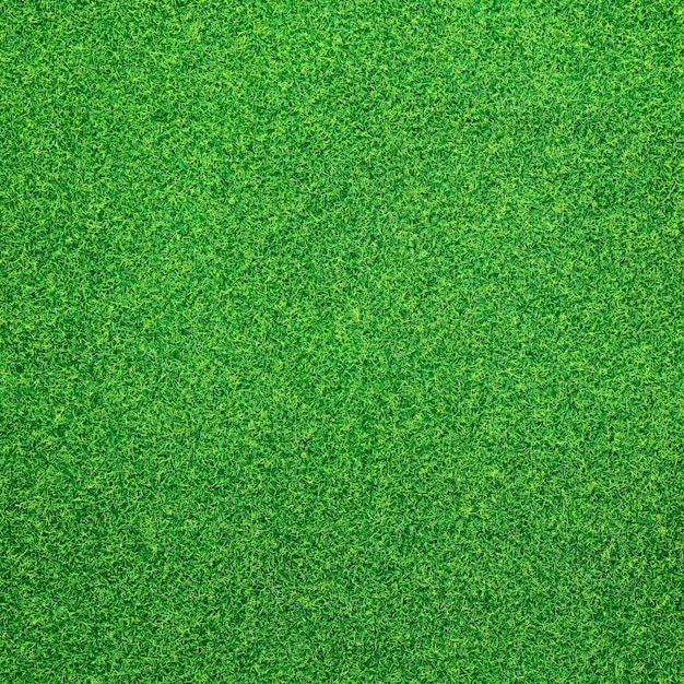 Herbe verte fond