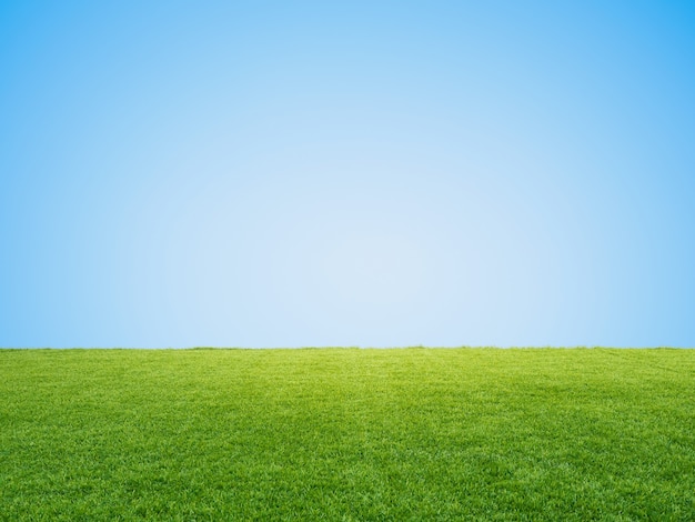 Herbe verte ou gazon sur fond de ciel bleu