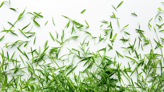 Photo l'herbe verte isolée sur un fond blanc vue supérieure plate