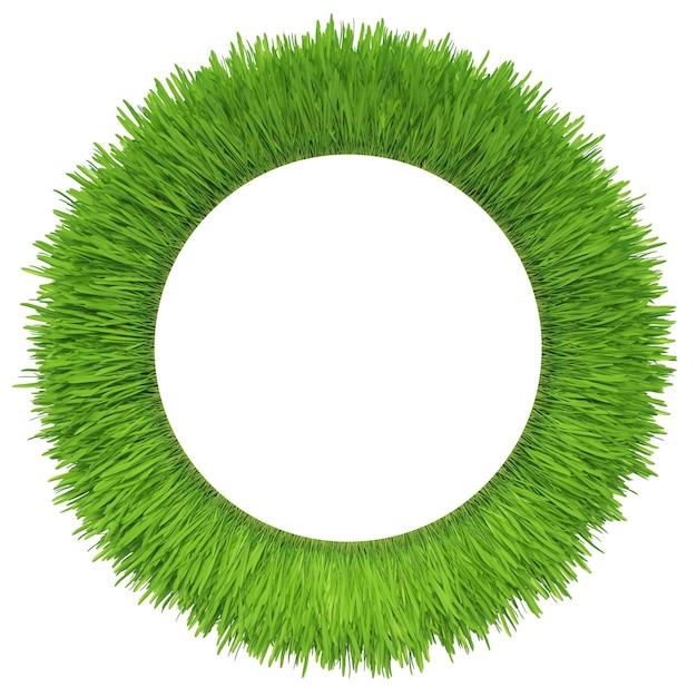 Photo herbe verte isolée sur fond blanc