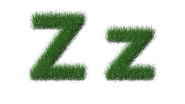 Herbe verte avec la lettre z