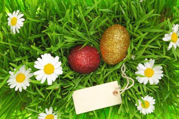 Photo herbe verte avec des oeufs scintillants de pâques et étiquette