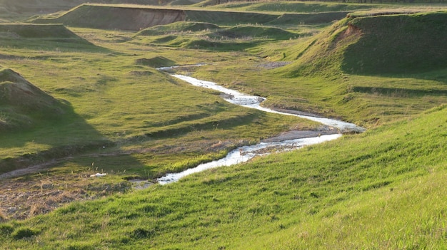 Herbe verte sur une petite colline avec un ruisseau clair