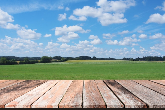 Photo herbe verte printanière avec ciel bleu et plancher en bois