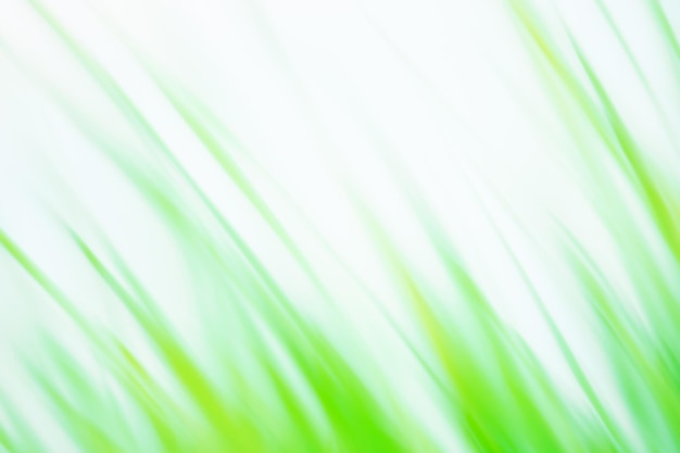 Herbe verte printanière fraîche avec bokeh vert Champ d'herbe au coucher du soleil bokeh et lumière du soleil
