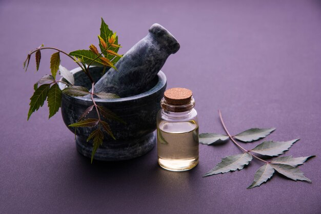 Herbes antibactériennes ayurvédiques Neem ou Lilas ou Azadirachta indica avec de l'huile en bouteille avec du mortier, isolées sur fond uni, mise au point sélective