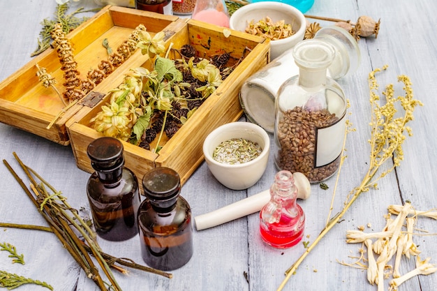 Herbes aromatiques, épices et graines en pots et boîte en bois