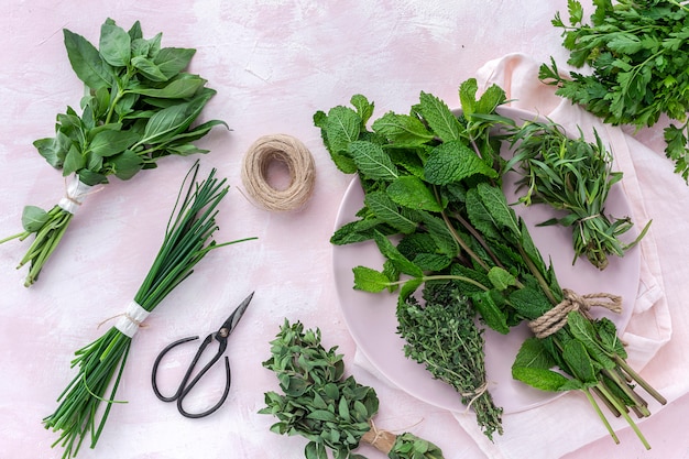 Herbes aromatiques fraîches d'en haut sur fond rose