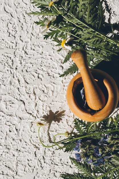 herbes et bouteilles d'huile fond de concept de médecine naturelle et d'aromathérapie