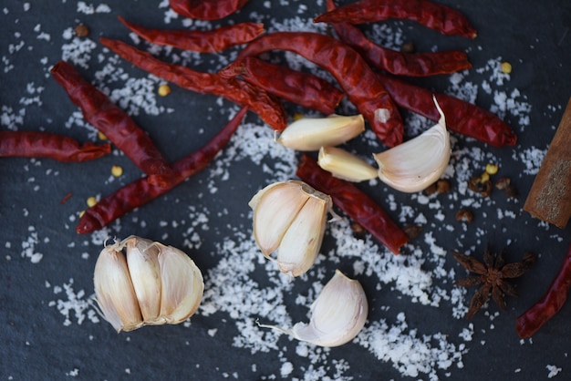 Herbes de chili séchées à l&#39;ail et épices avec du sel sur fond sombre