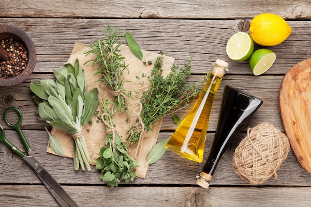 Herbes et condiments frais du jardin