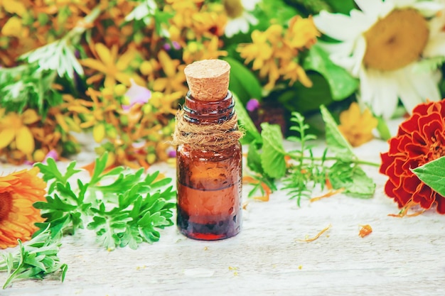 Herbes dans un mortier. Plantes médicinales. Mise au point sélective. la nature.