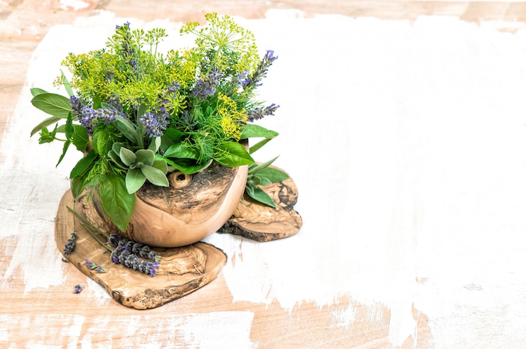 Photo herbes fraîches aneth thym sauge lavande menthe basilic alimentation saine