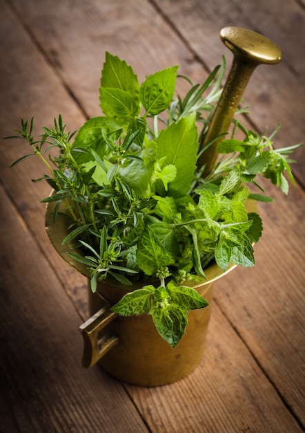 Herbes fraîches dans le mortier de cuivre sur la table