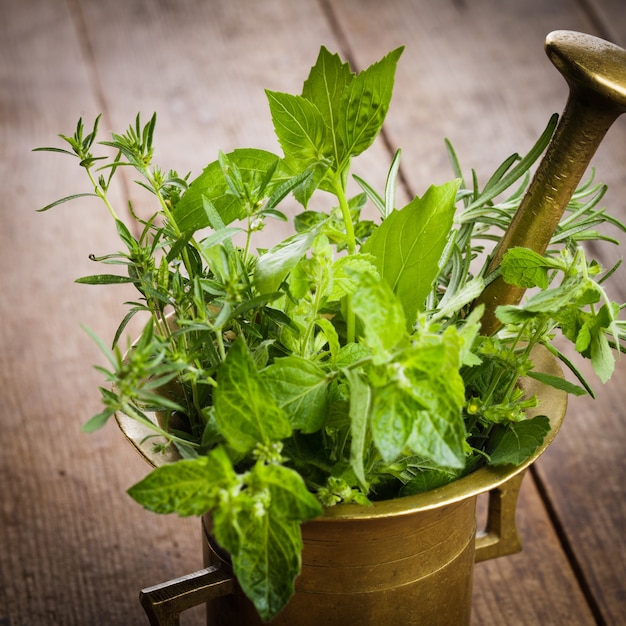 Herbes fraîches dans le mortier de cuivre sur la table