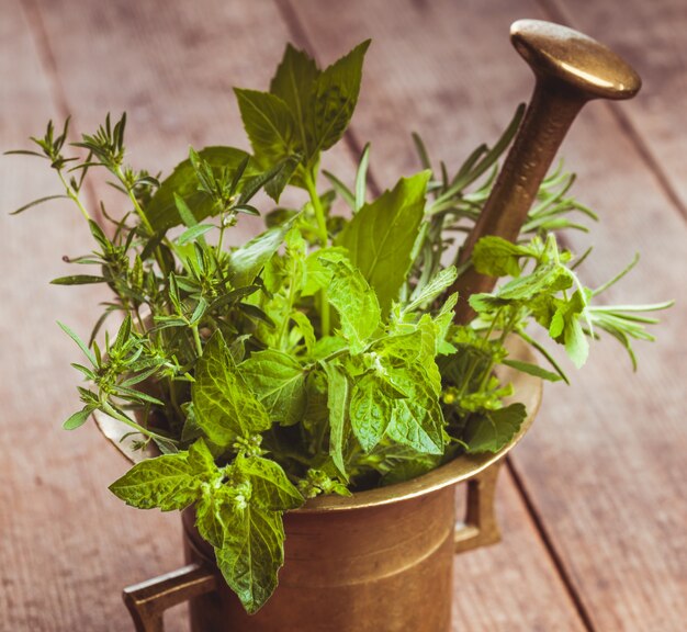 Herbes fraîches dans le mortier de cuivre sur la table