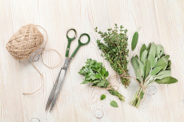 Herbes fraîches du jardin