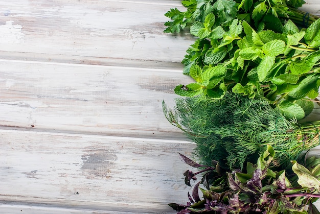 Herbes fraîches et épicées, aneth, basilic, persil, menthe