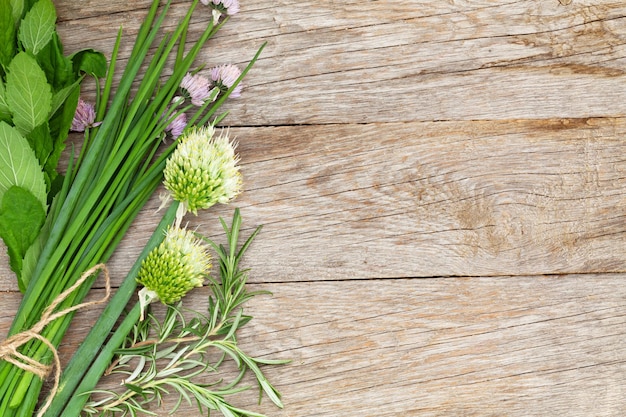 Herbes fraîches et épices sur table de jardin