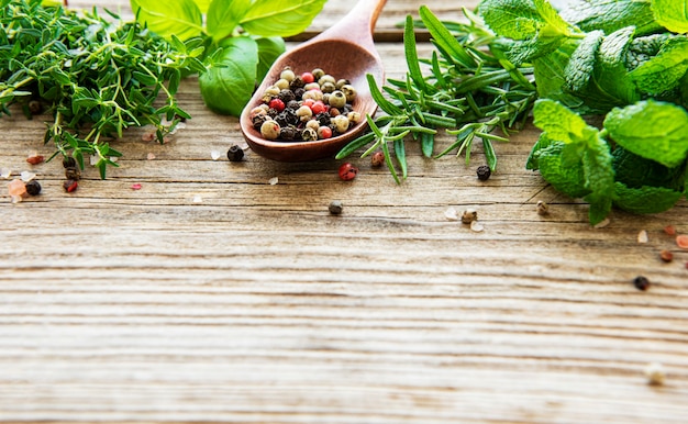 Herbes fraîches et épices sur la vue de dessus de fond en bois