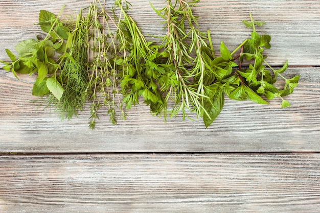 Herbes fraîches sur le fond en bois avec texte de copie