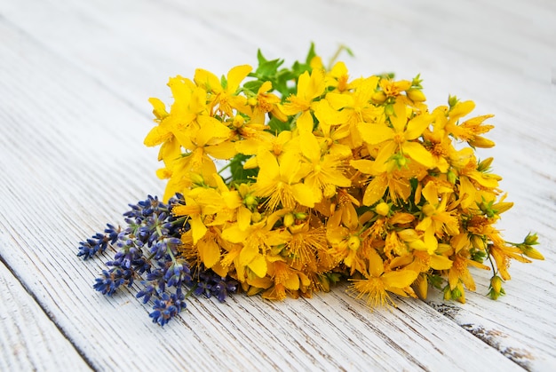 Herbes fraîches sur fond en bois