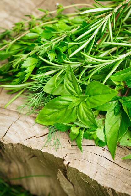 Herbes fraîches en plein air sur le fond en bois